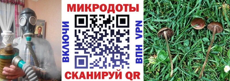 OMG маркетплейс  Краснообск  Псилоцибиновые грибы Psilocybine cubensis 